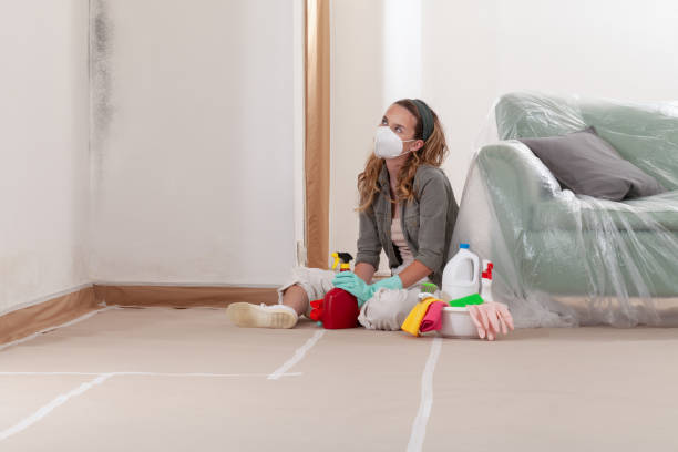 Reliable Mold Cleanup contractor in Loysburg, PA by WQB Mold Removal